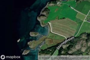 Jutvika