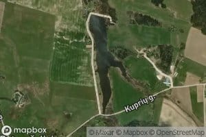 Rudupis