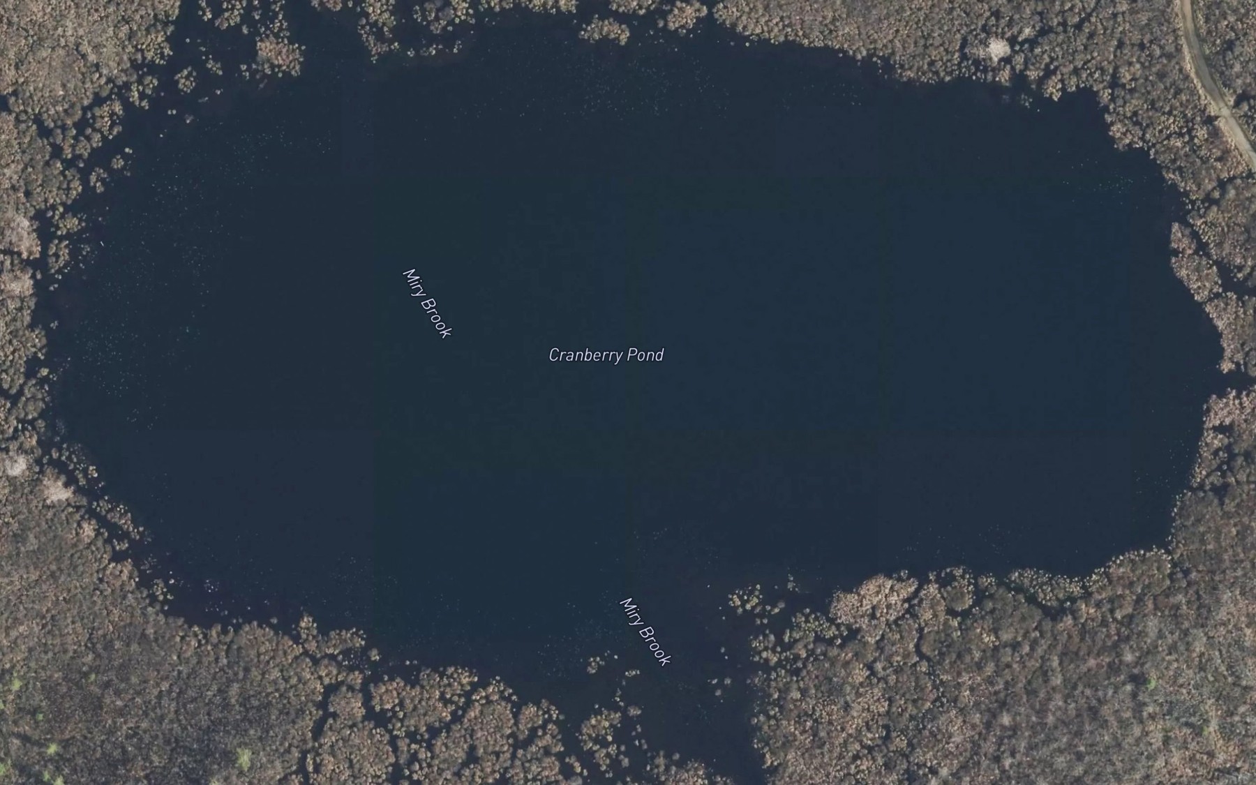Satellite map of the Cranberry Pond