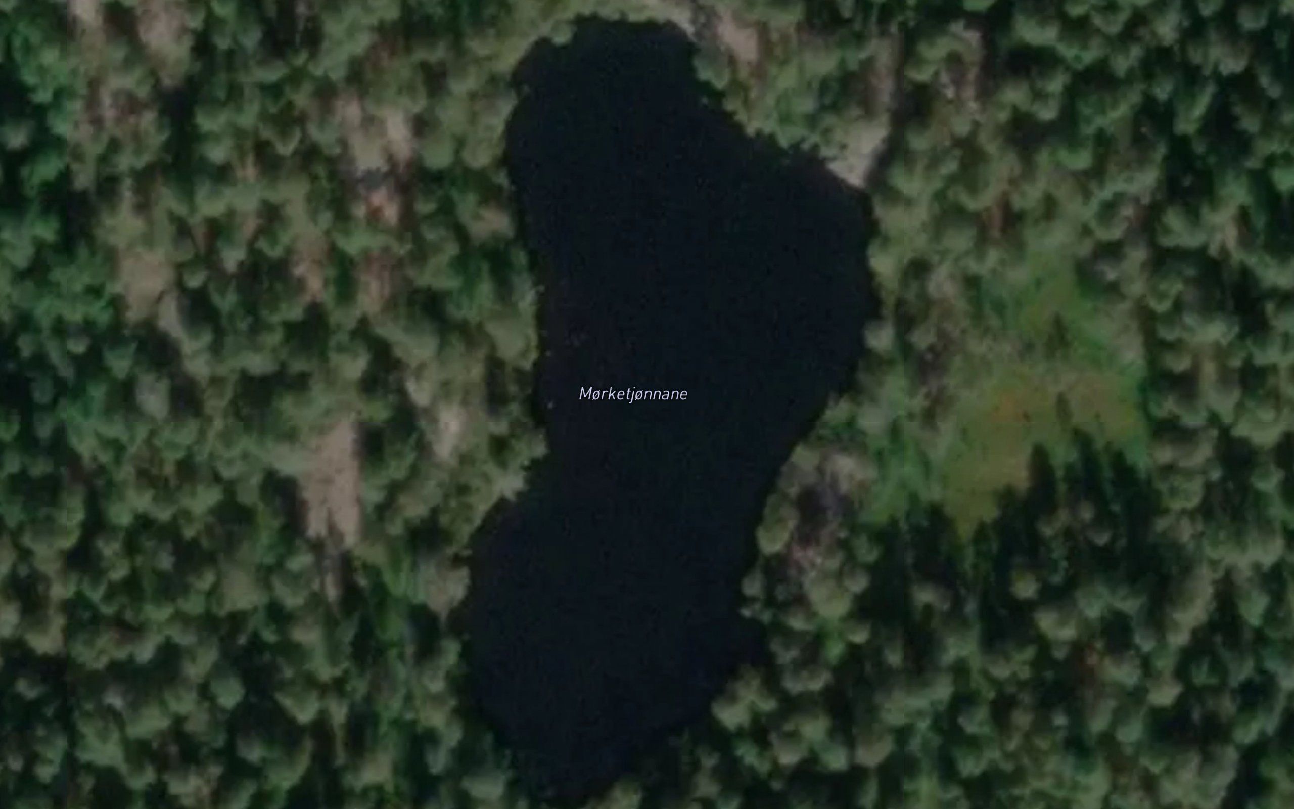 Morketjornane