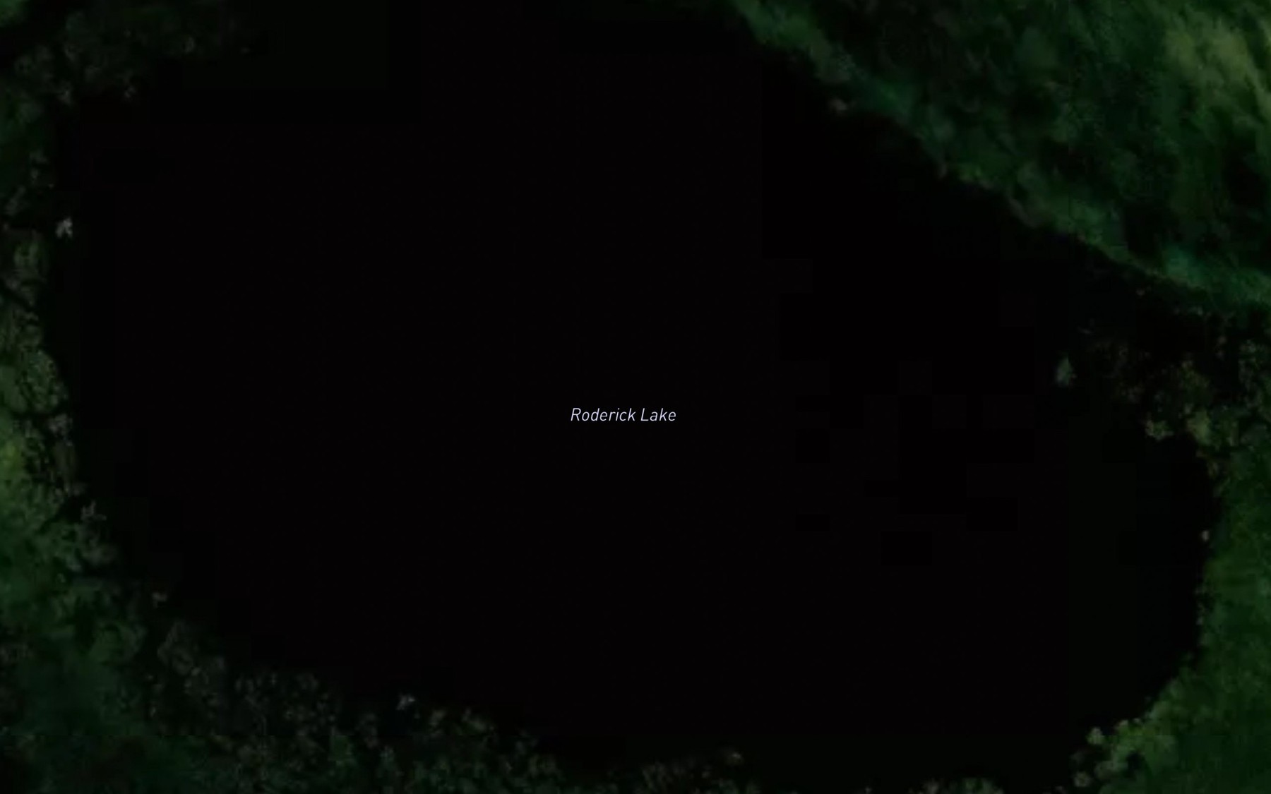 Satellite map of the Roderick Lake