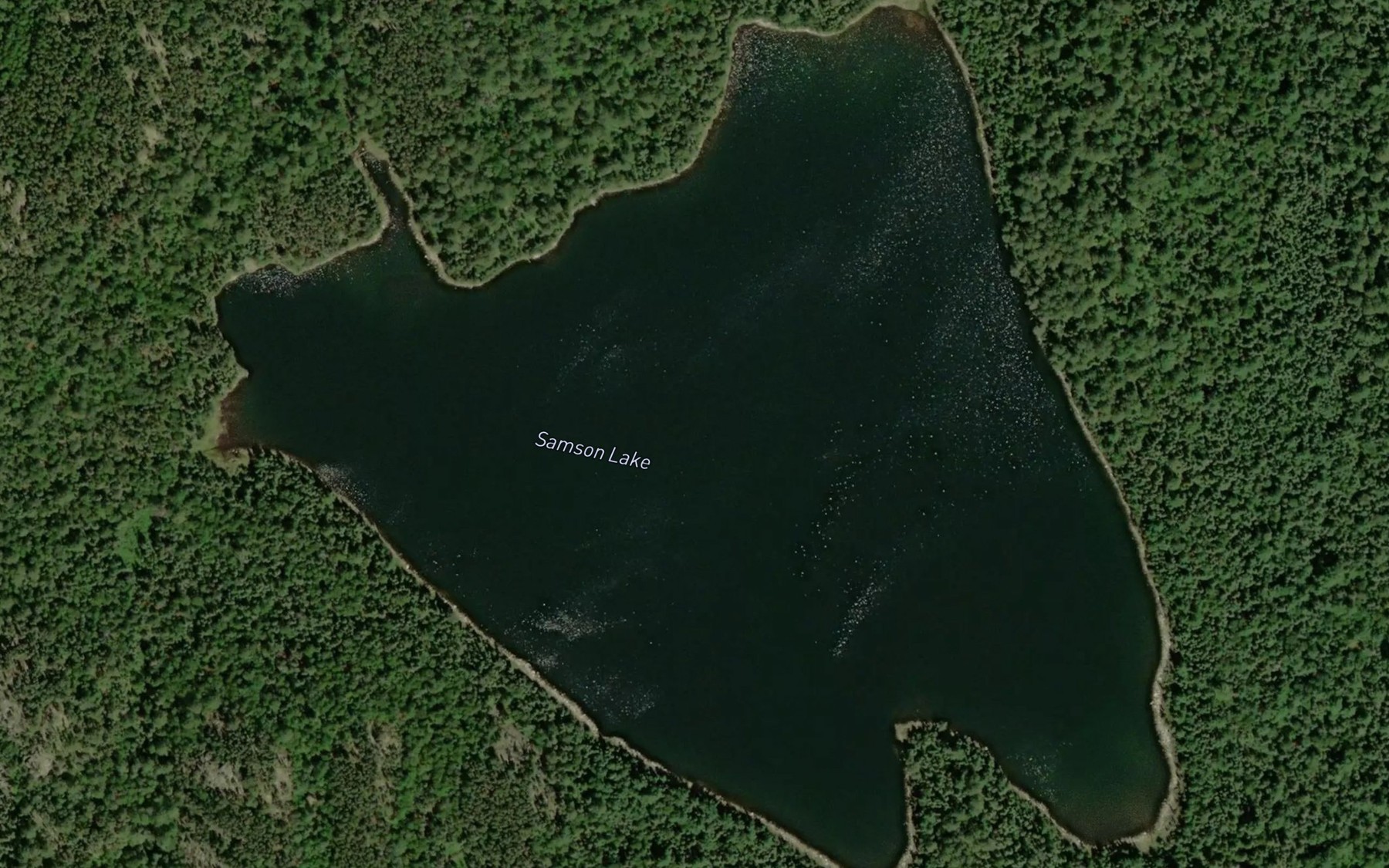 Satellite map of the Samson Lake