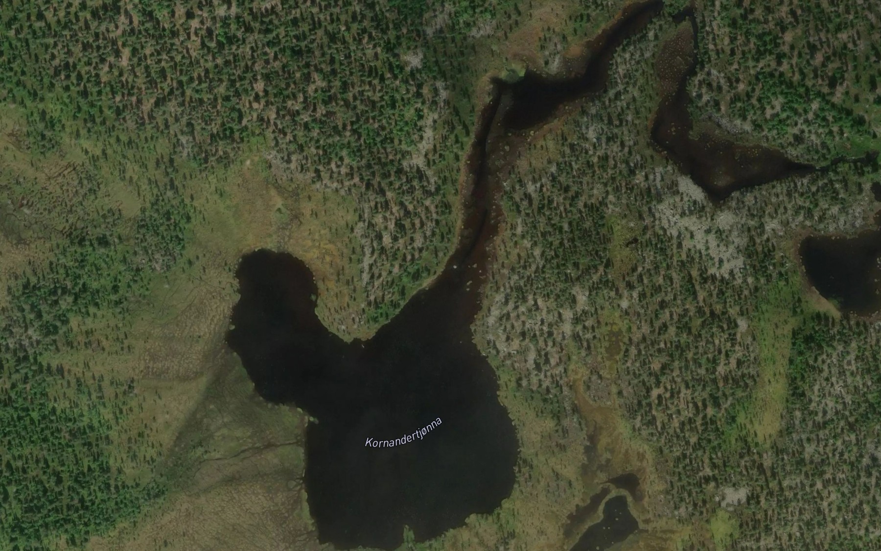 Satellite map of the Kornandertjorn