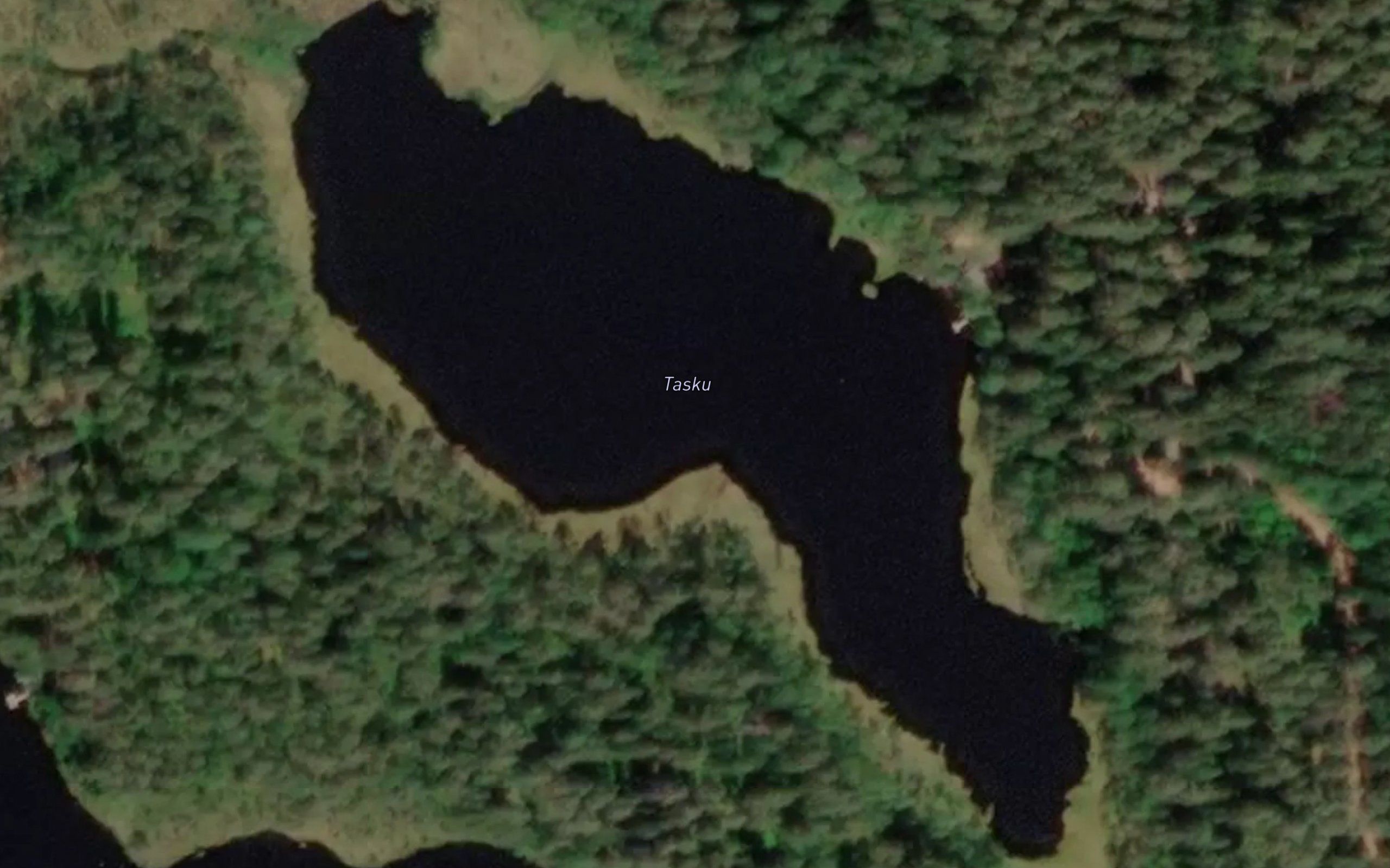 Tasku