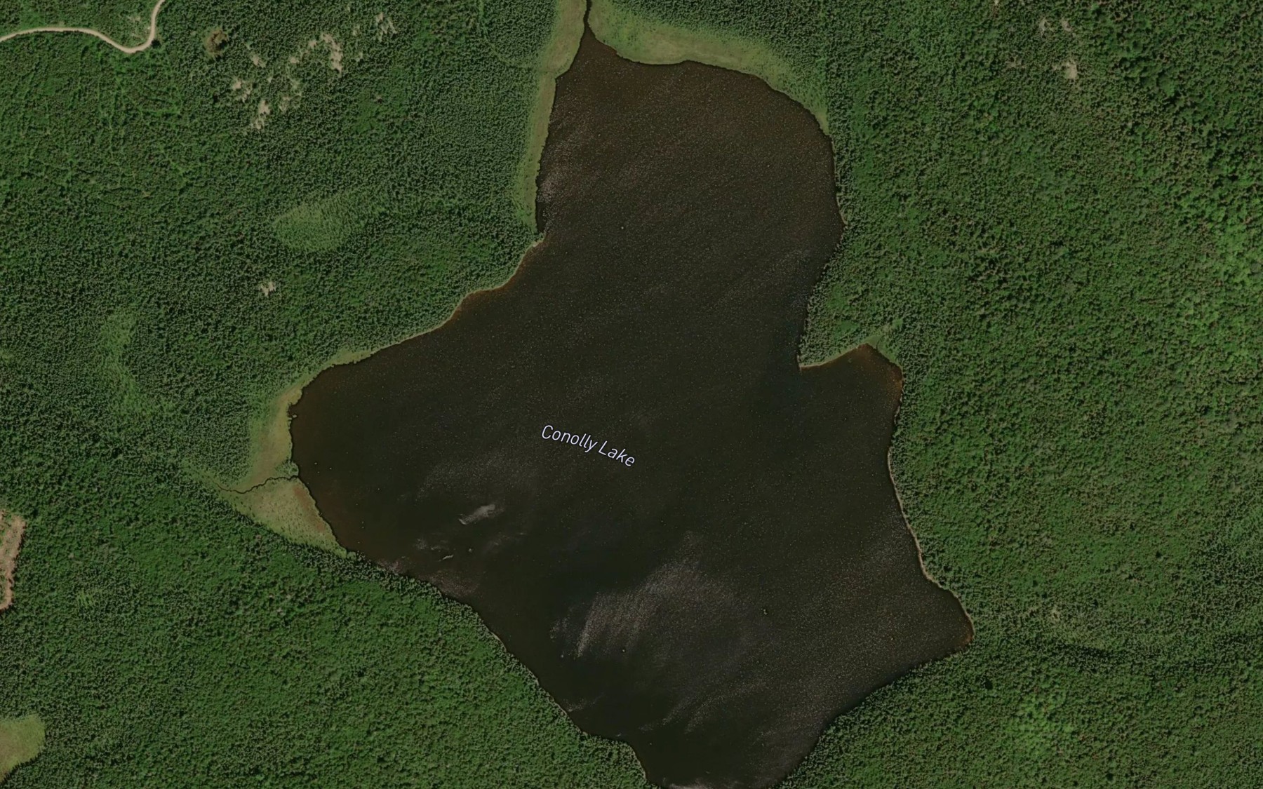 Satellite map of the Conolly Lake