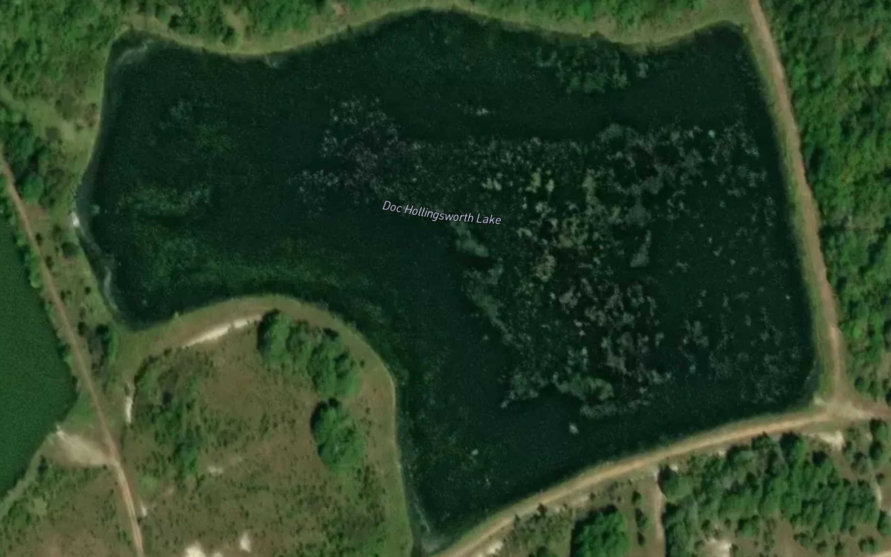 Satellite map of the Doc Hollingsworth Lake