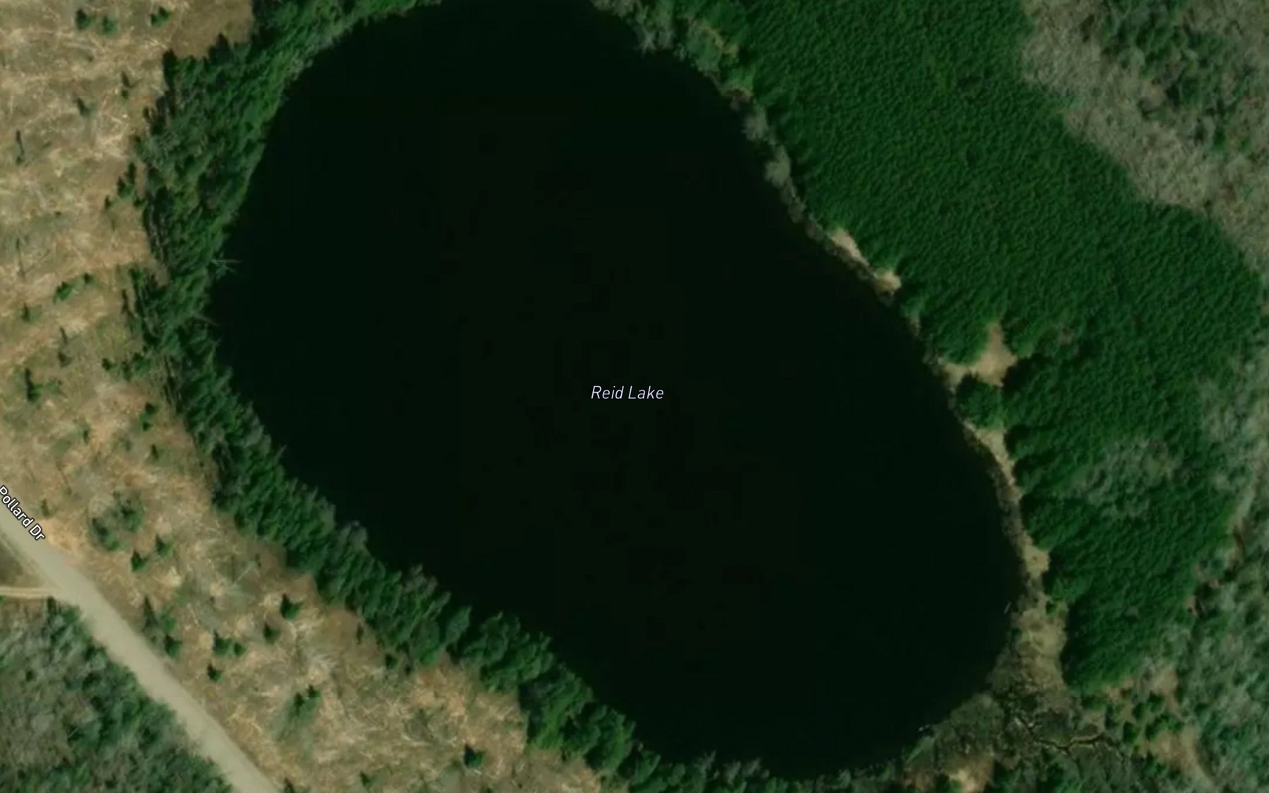 Satellite map of the Reid Lake
