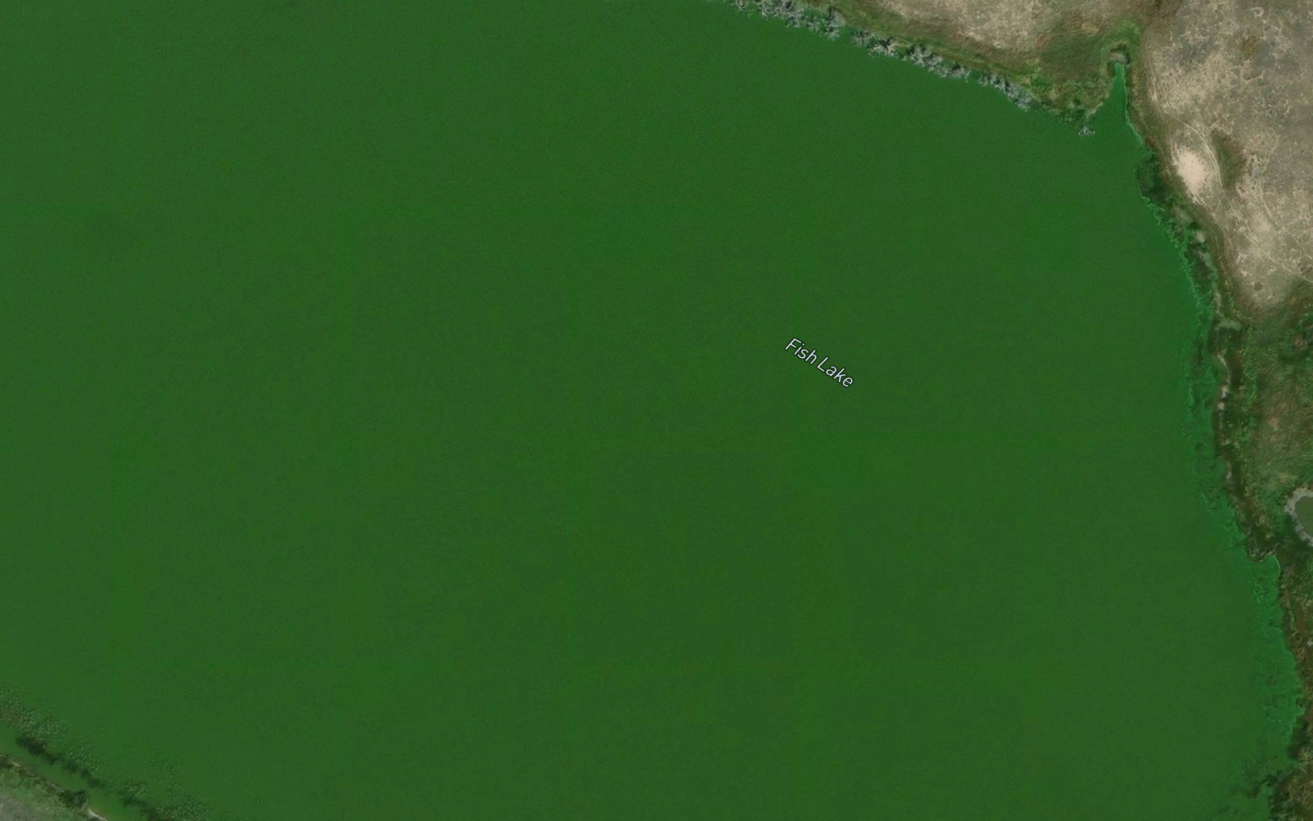 Fish Lake