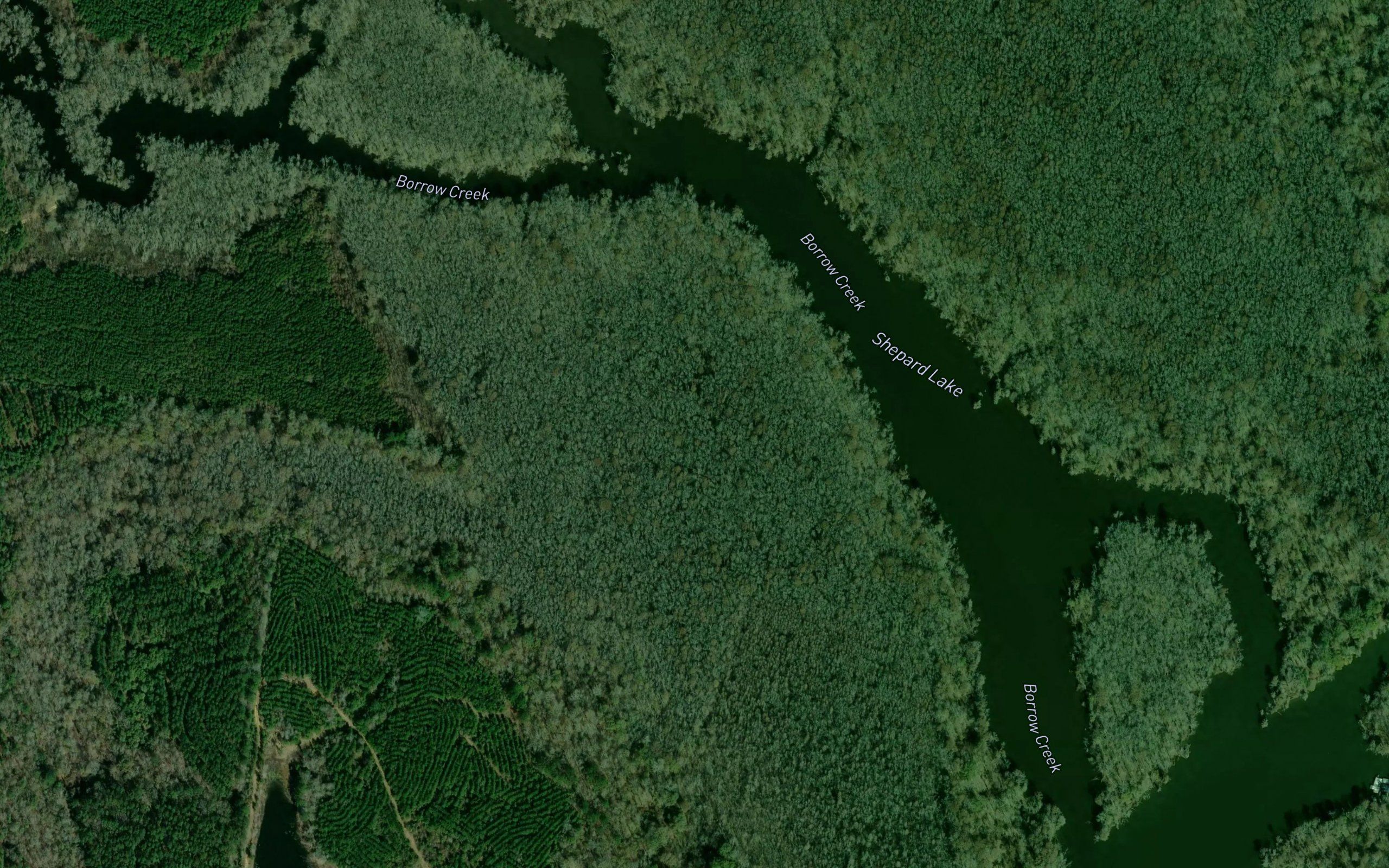 Sheppard Lake