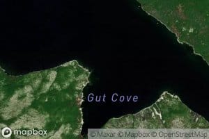 Gut Cove