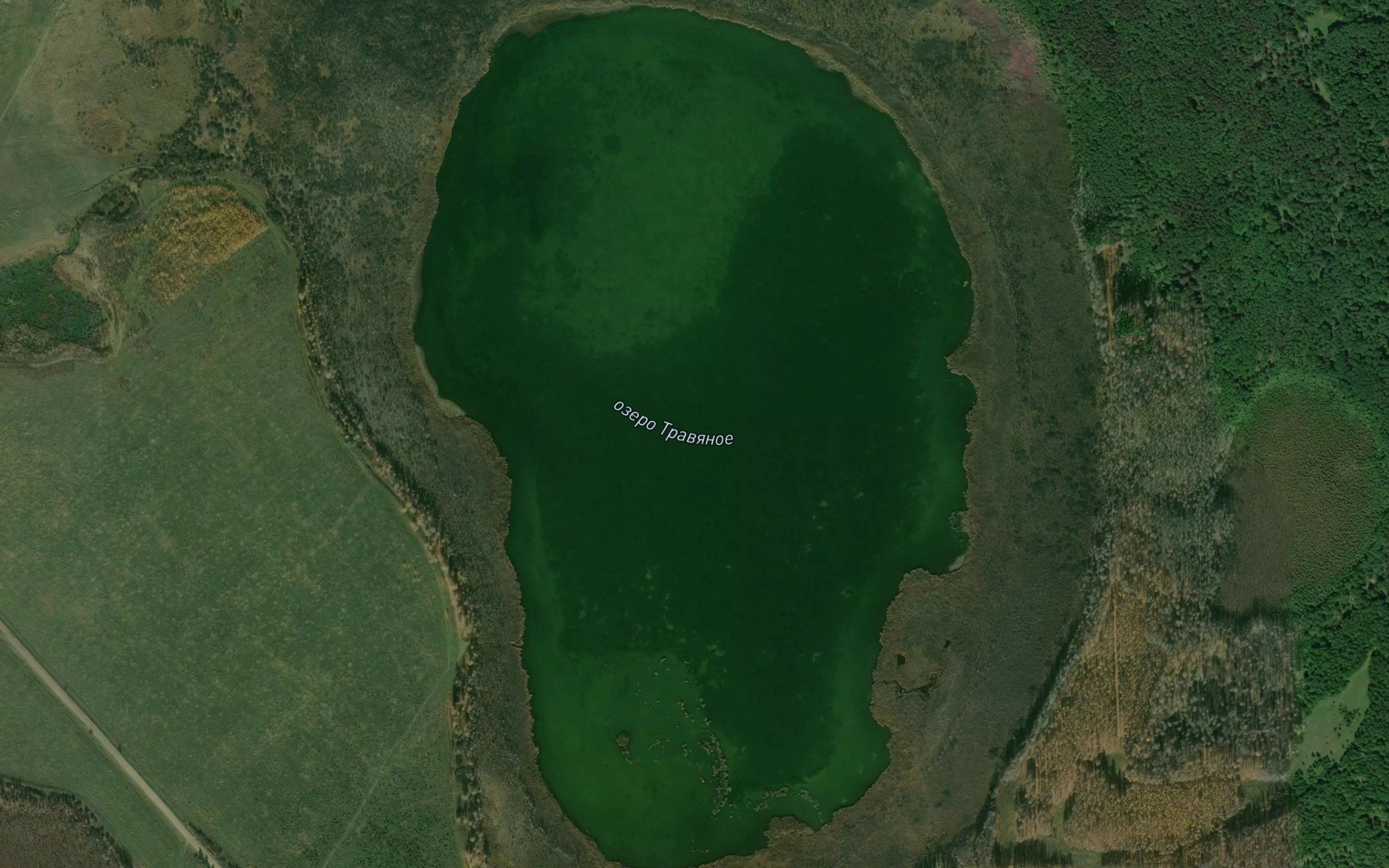 Ozero Travyanoye