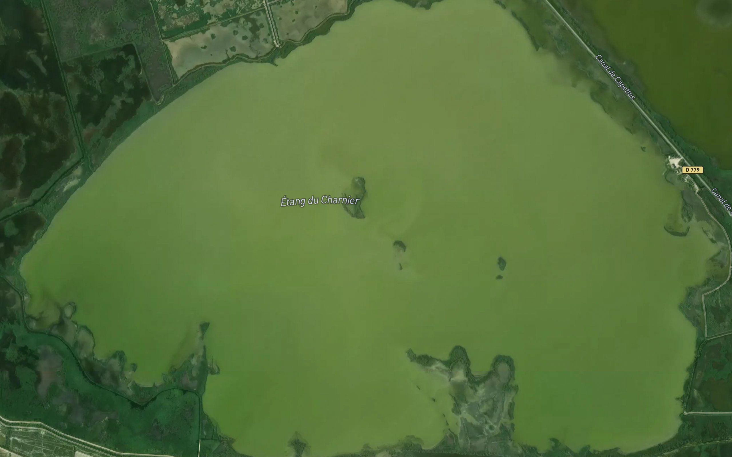Etang du Charnier