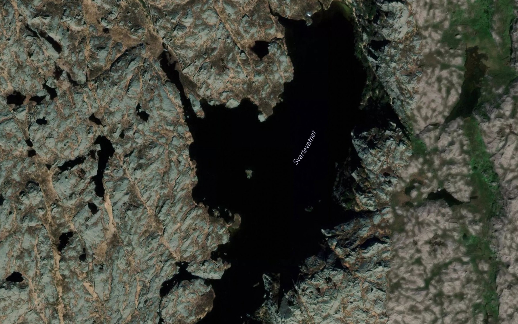 Satellite map of the Svartevatnet