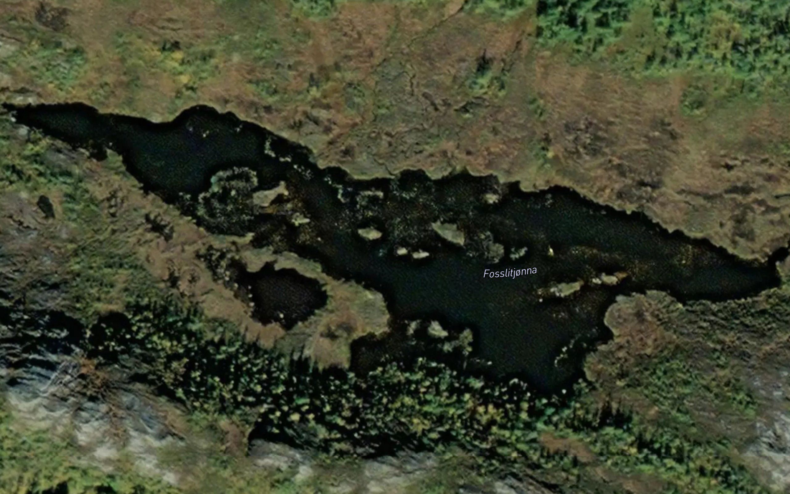 Fosslitjonna