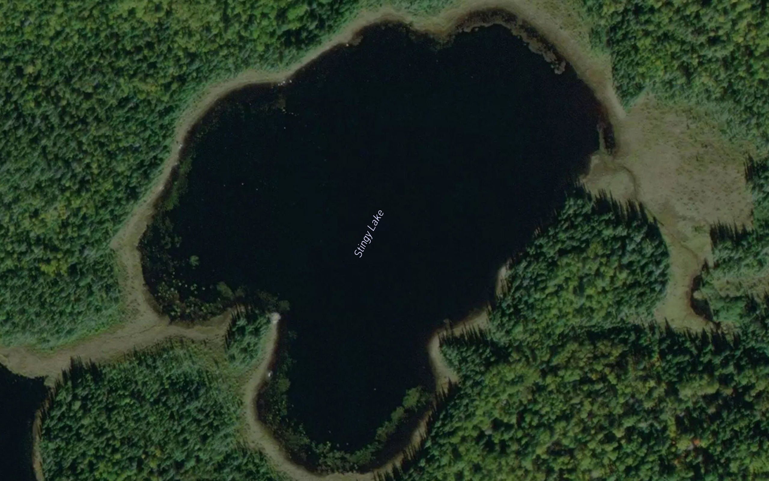 Stingy Lake