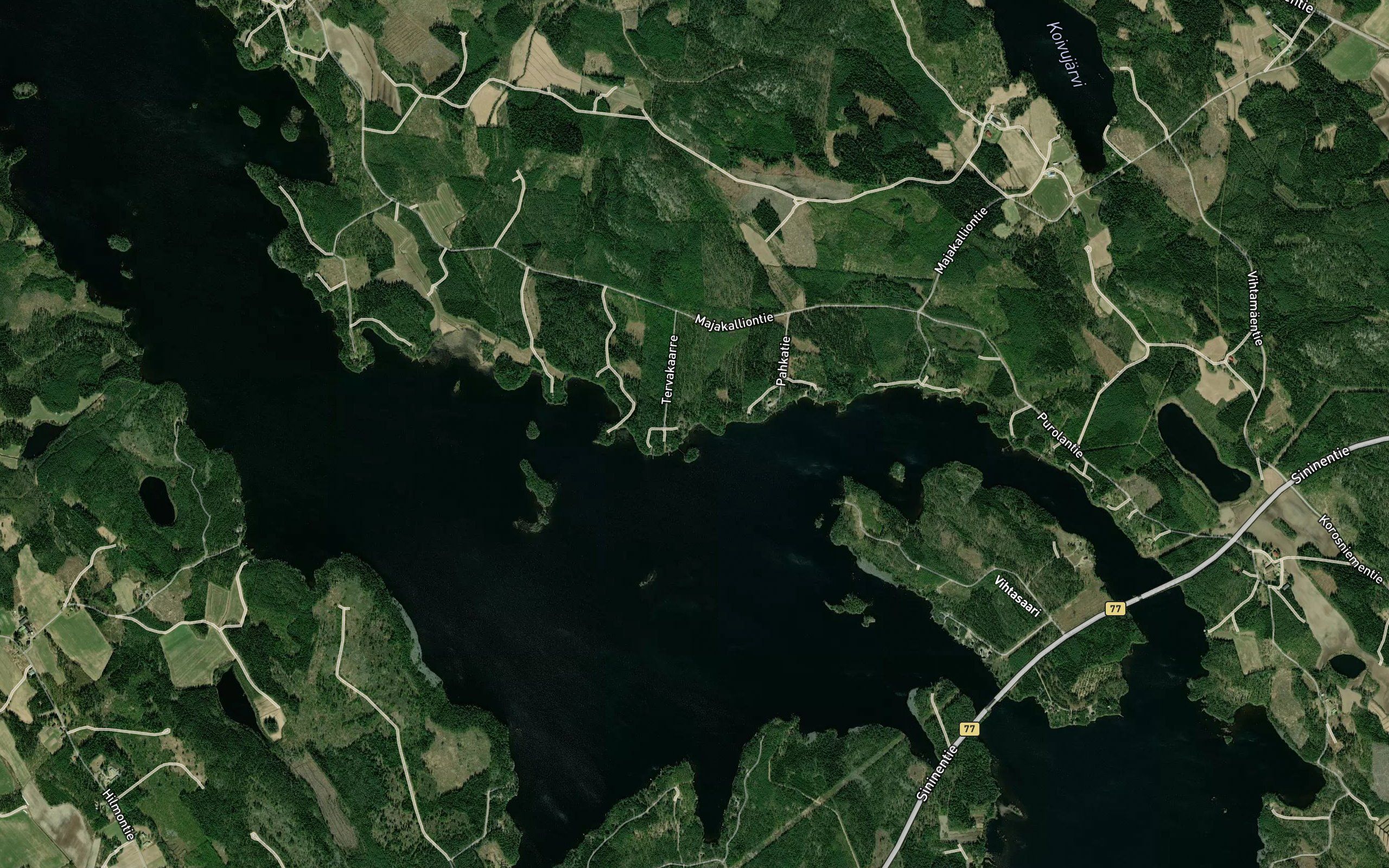 Tervakaarre
