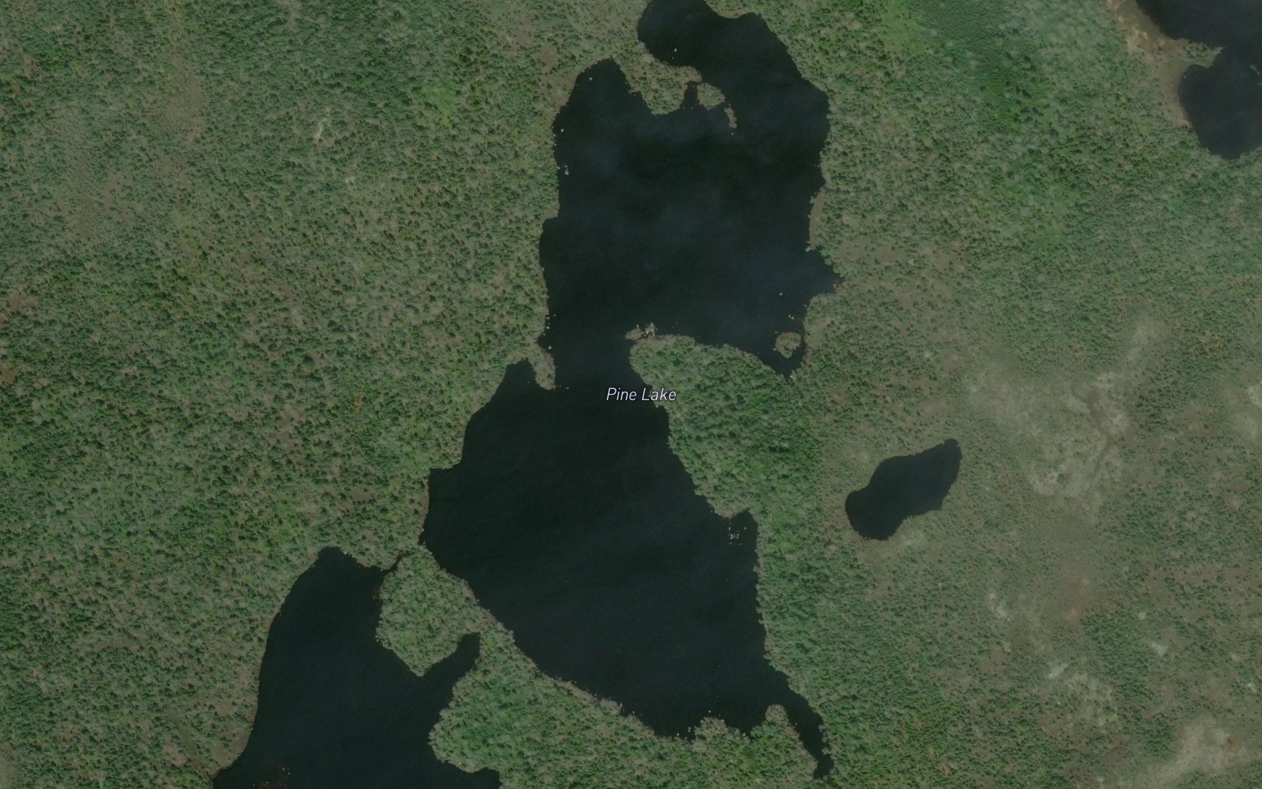 Pine Lake