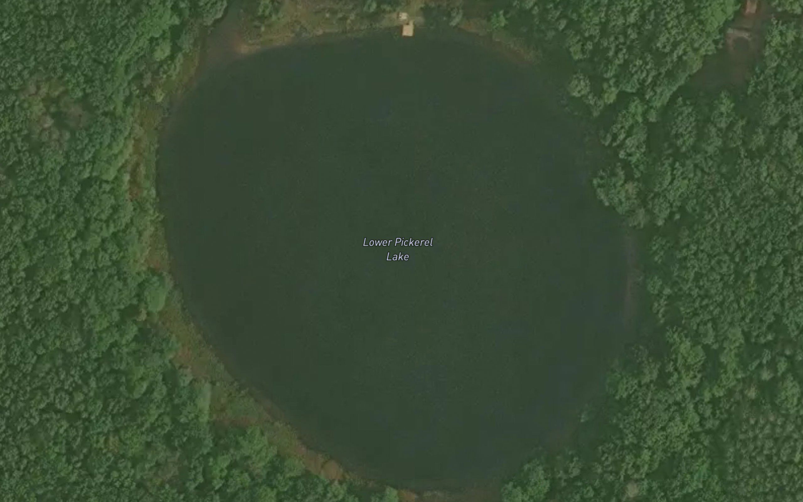 Lower Pickerel Lake