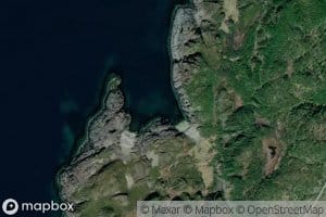 Laukvika