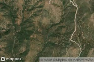 Yellow Jacket Spring