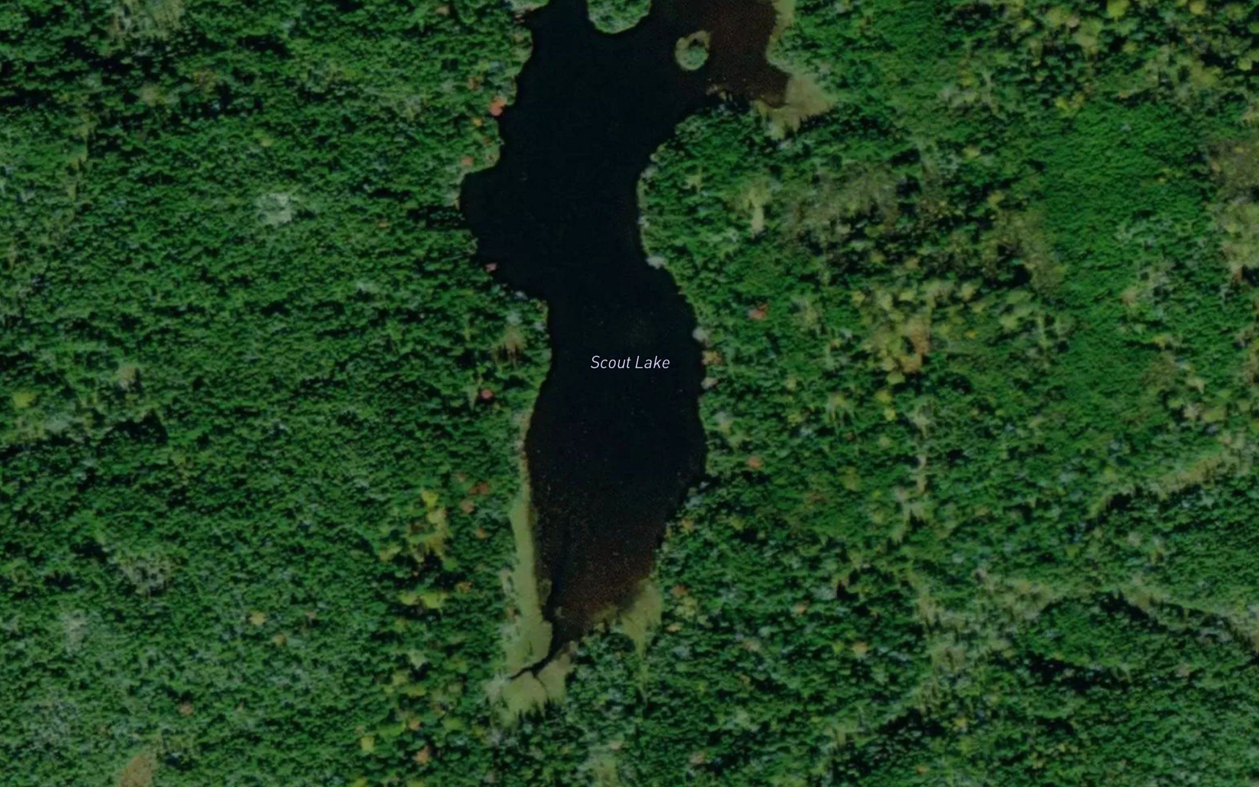 Scout Lake