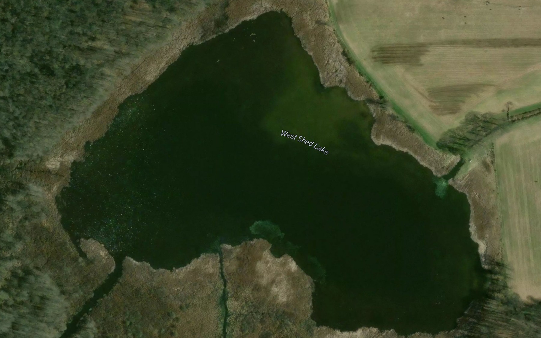 Satellite map of the West Shed Lake