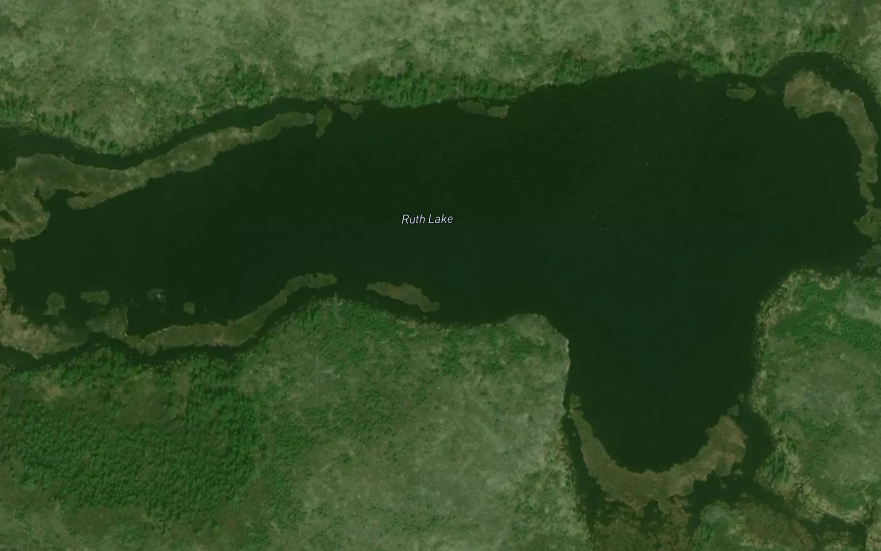 Satellite map of the Ruth Lake