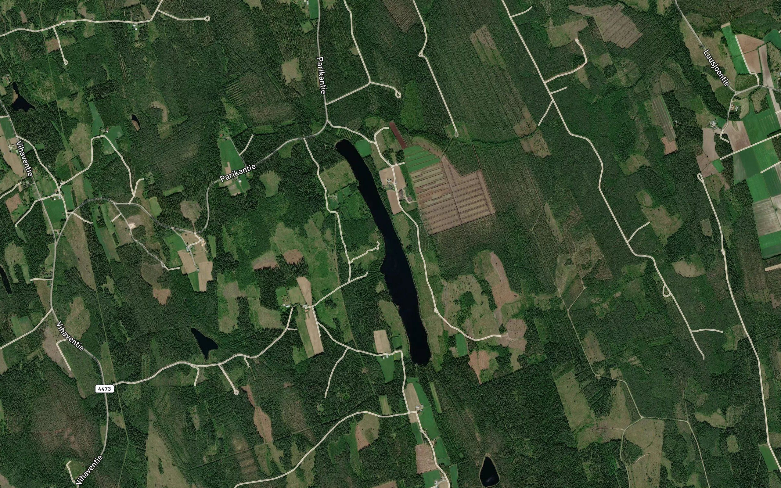 Majautlampi