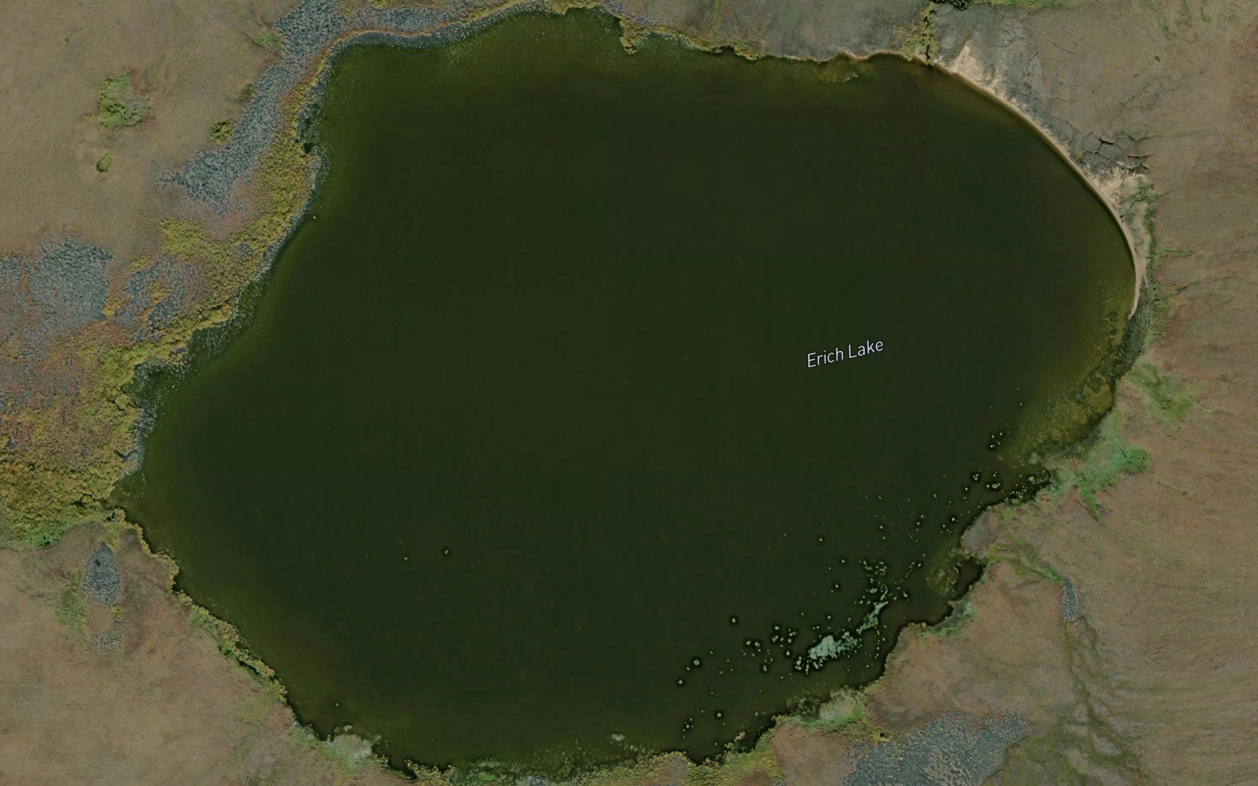 Erich Lake