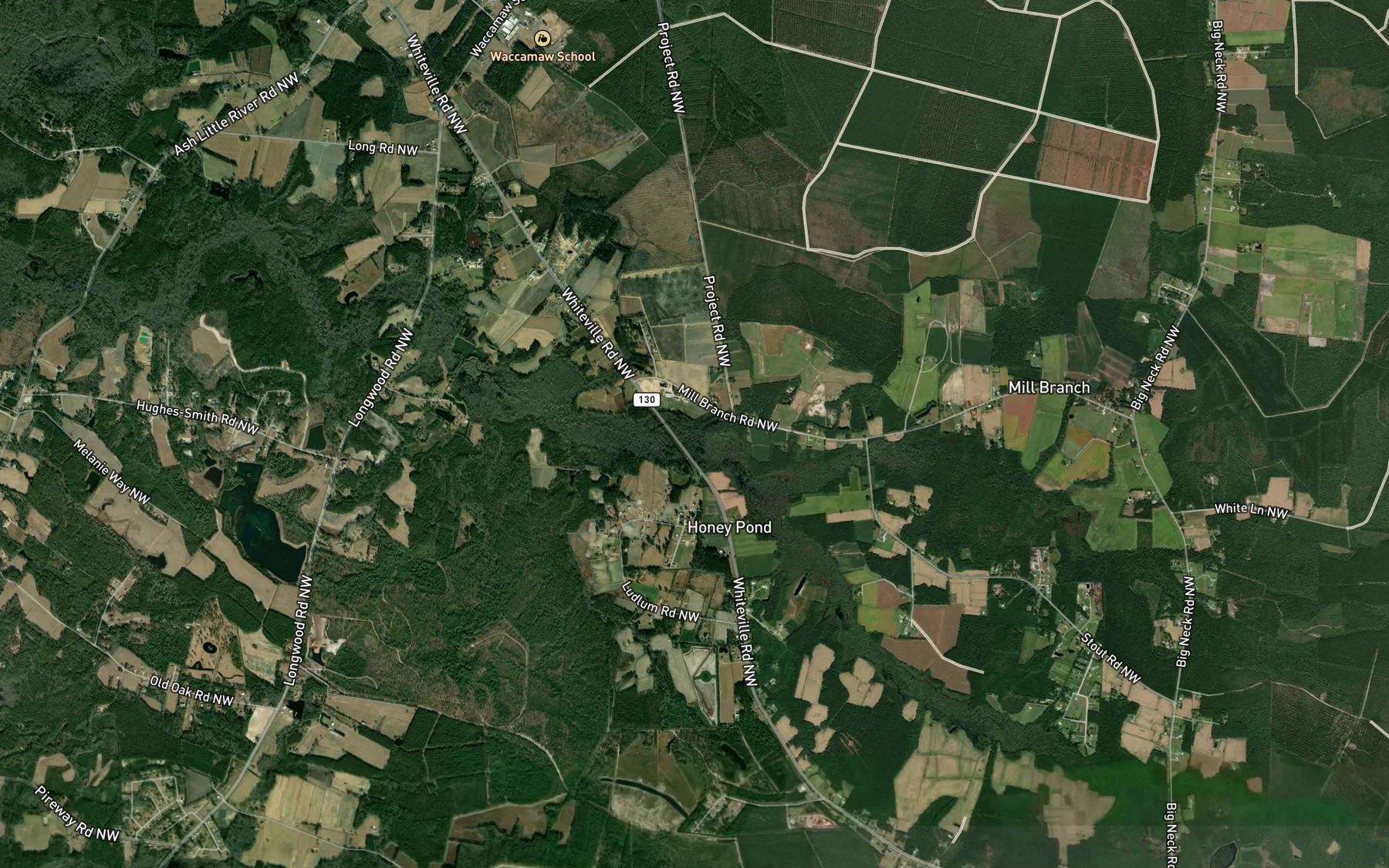 Satellite map of the Milliken Swamp
