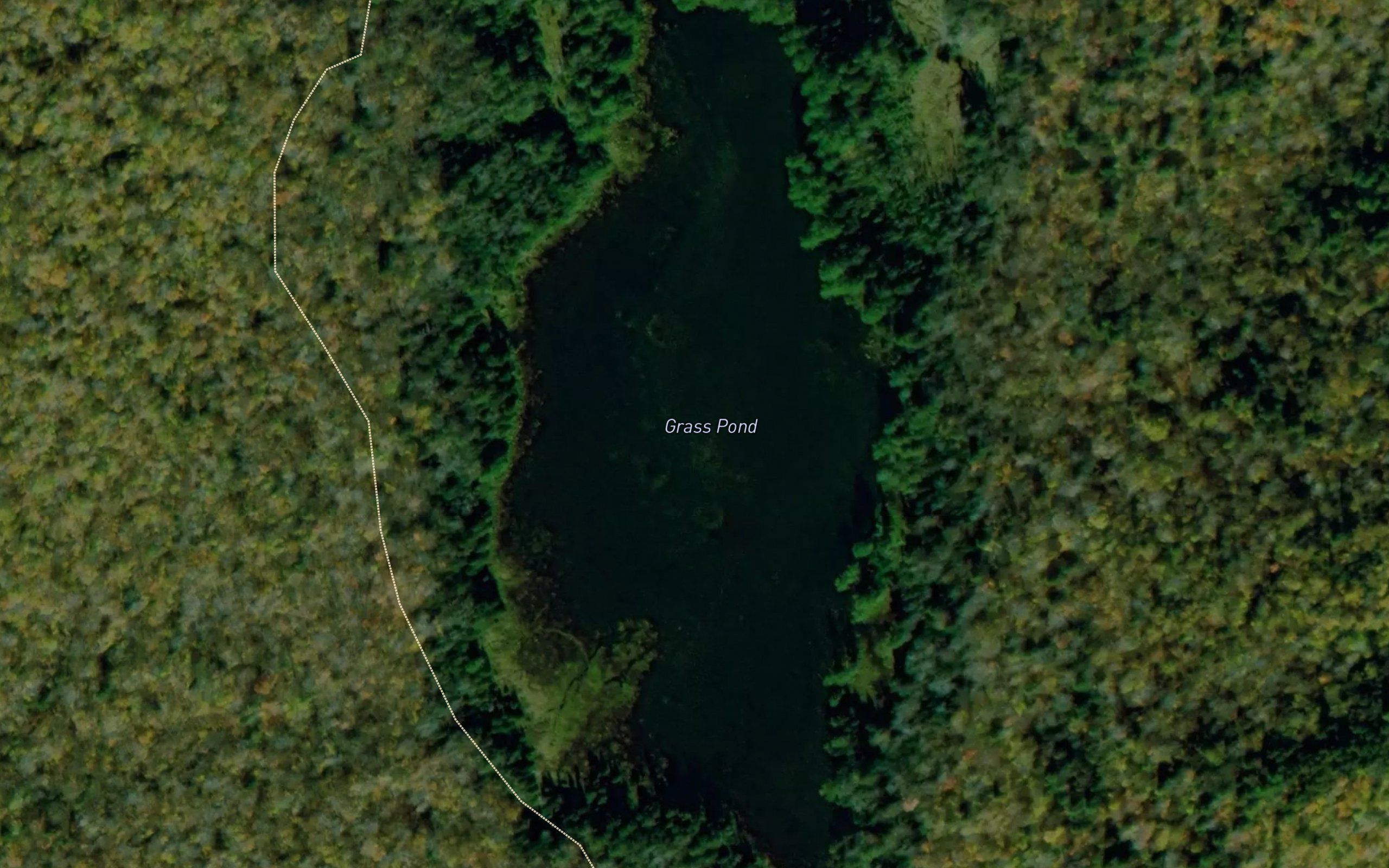 Grass Pond