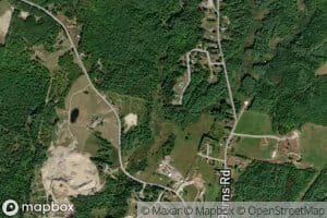 Sidney Bog Brook
