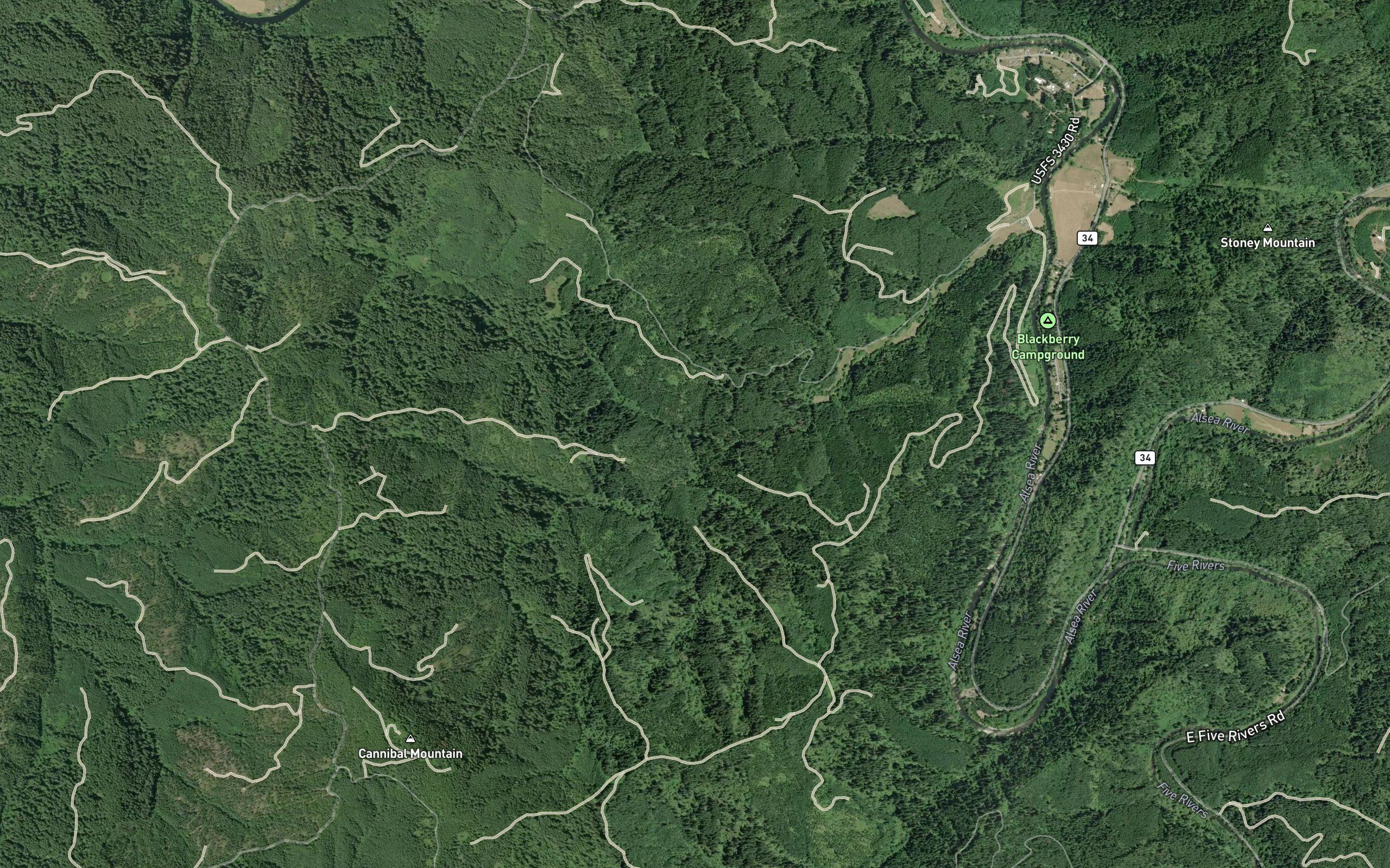 Meadow Fork