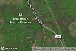 Drug Brook