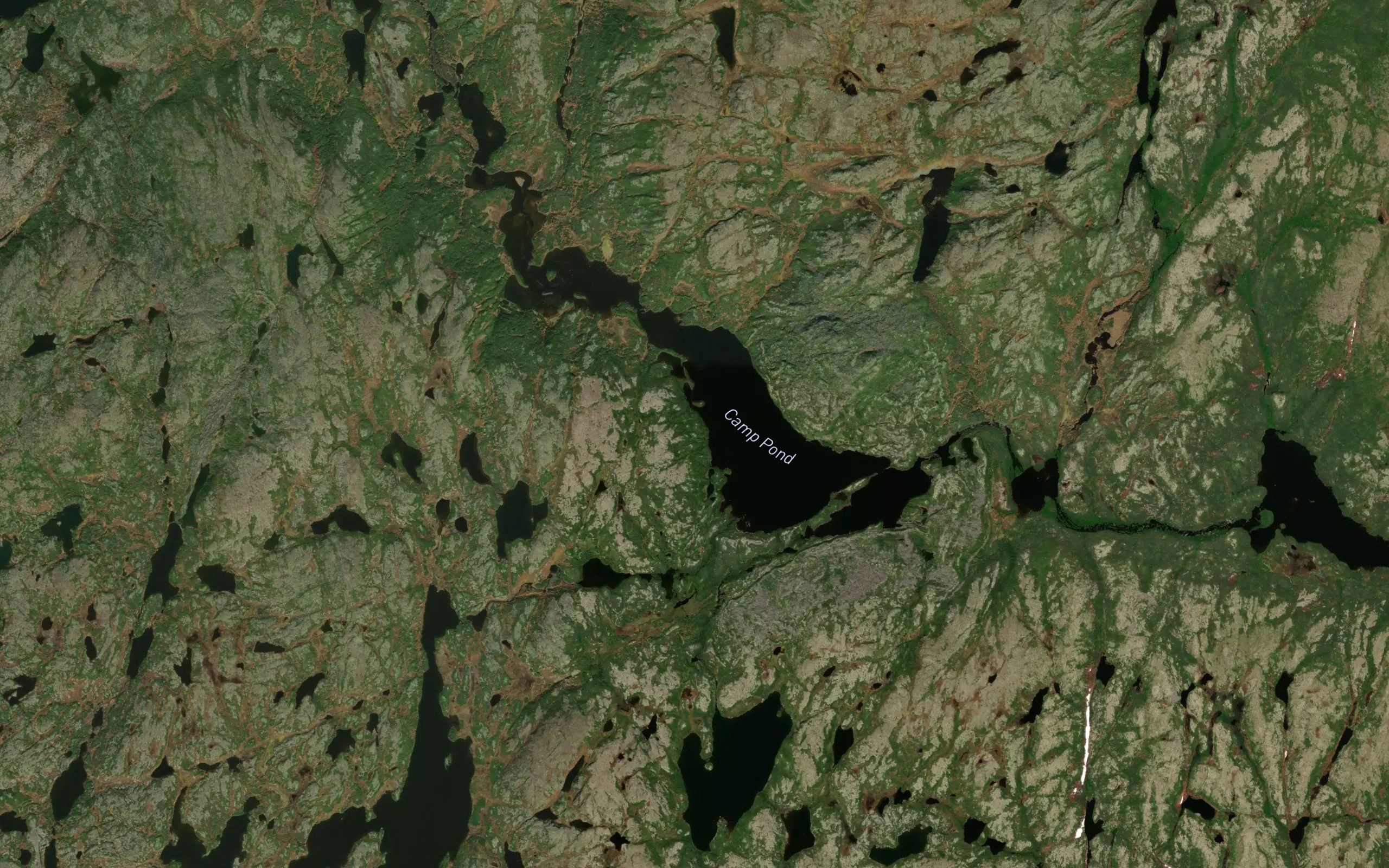 Camp Pond