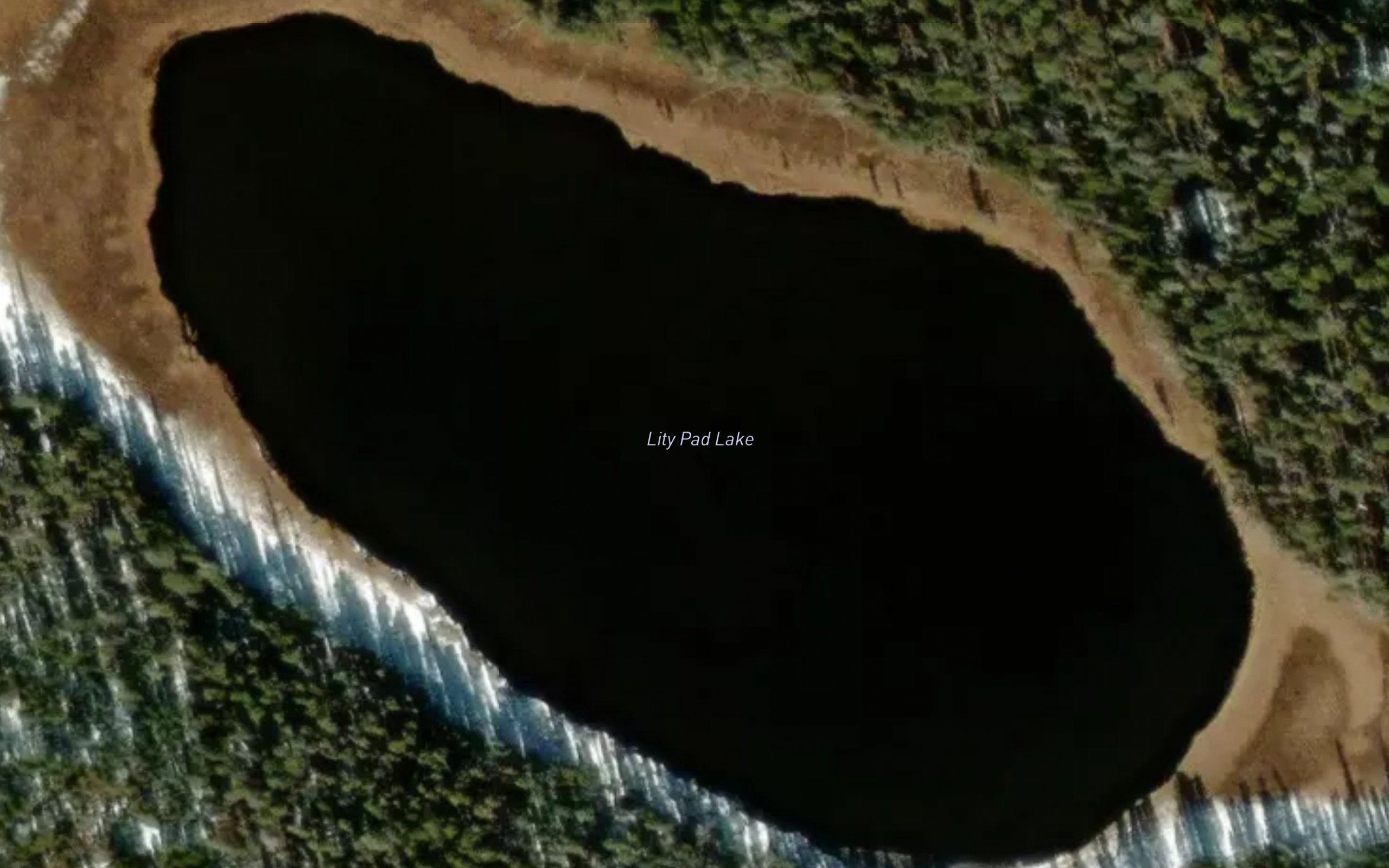 Lily Pad Lake