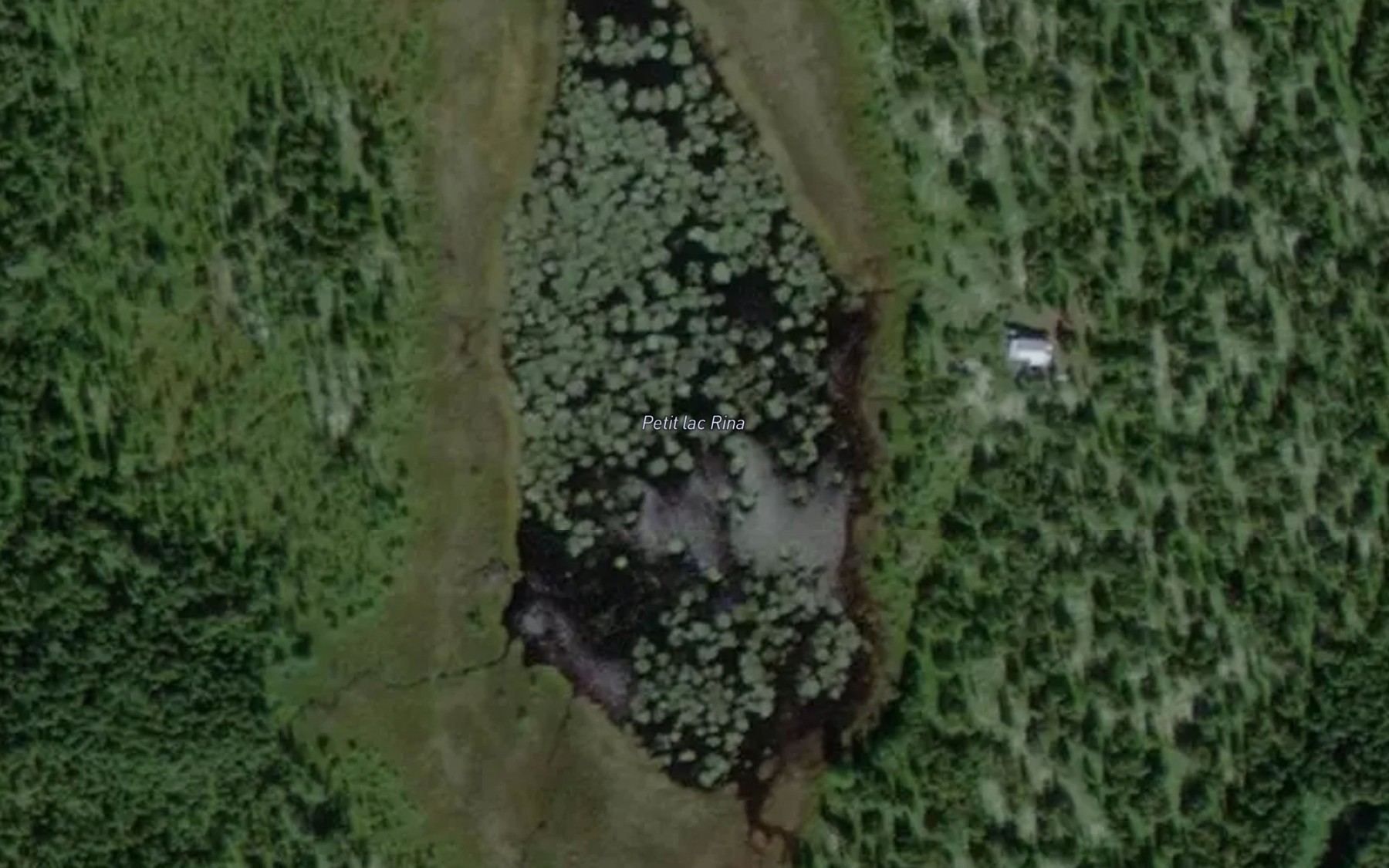 Satellite map of the Petit lac Rina