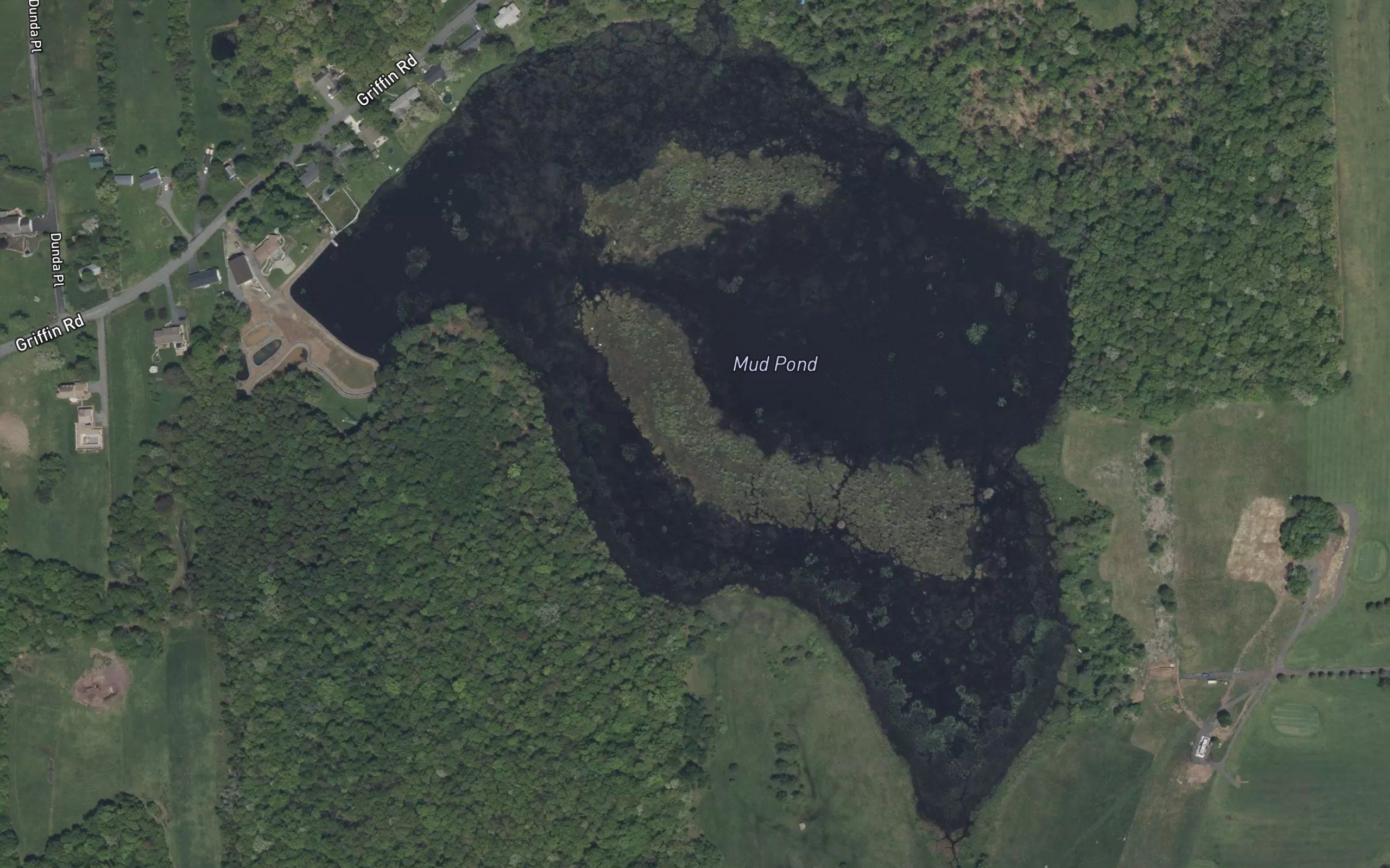 Mud Pond