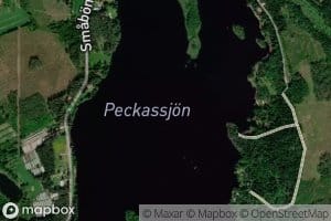 Peckassjon