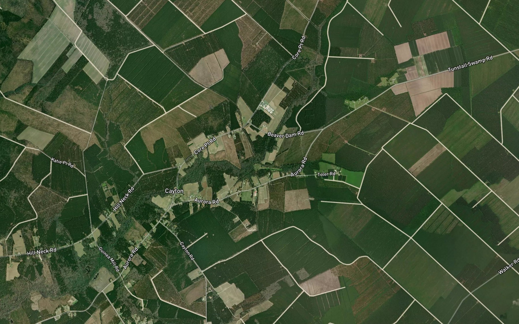 Satellite map of the Bushy Fork