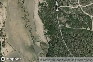 Coyote Spring
