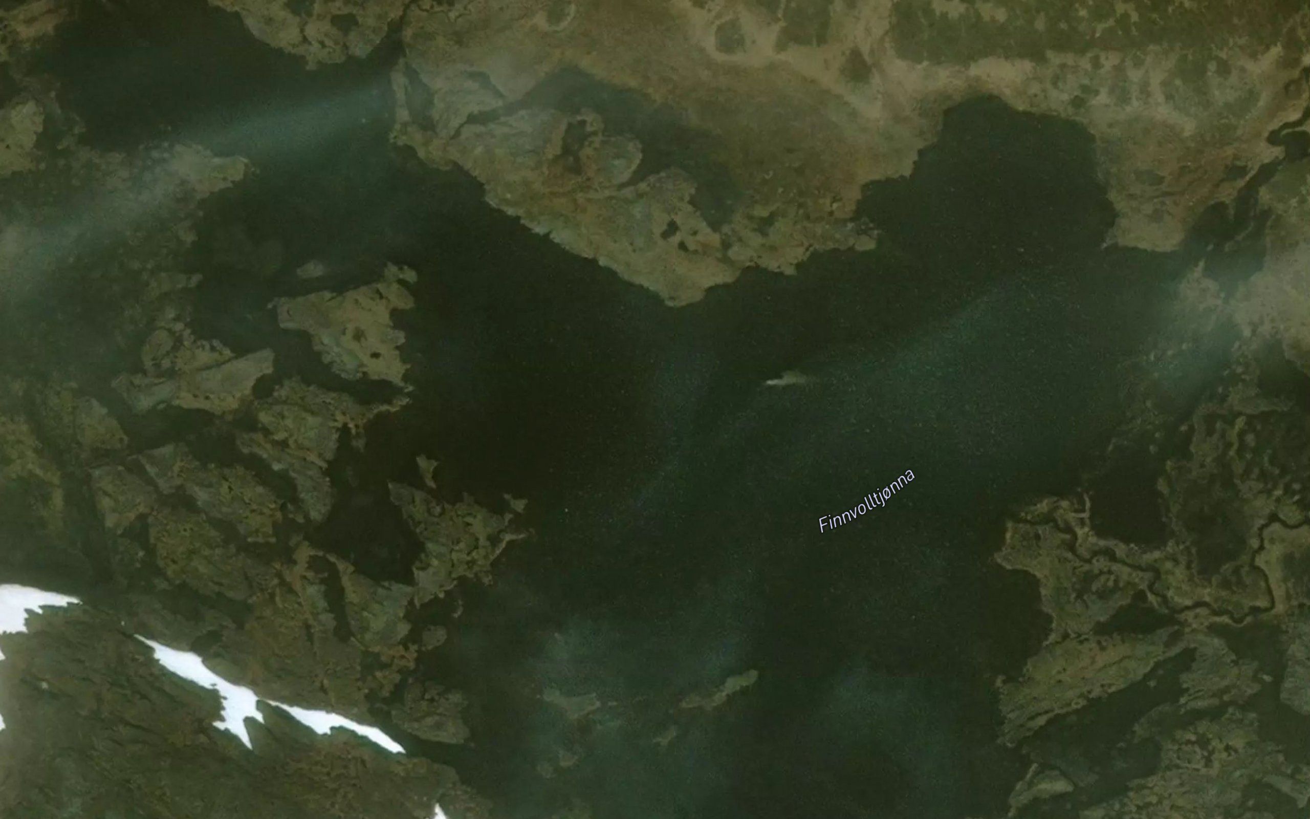 Finnvolltjorna