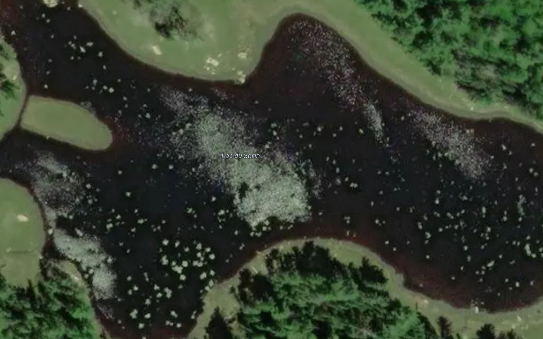 Satellite map of the Lac du Serin