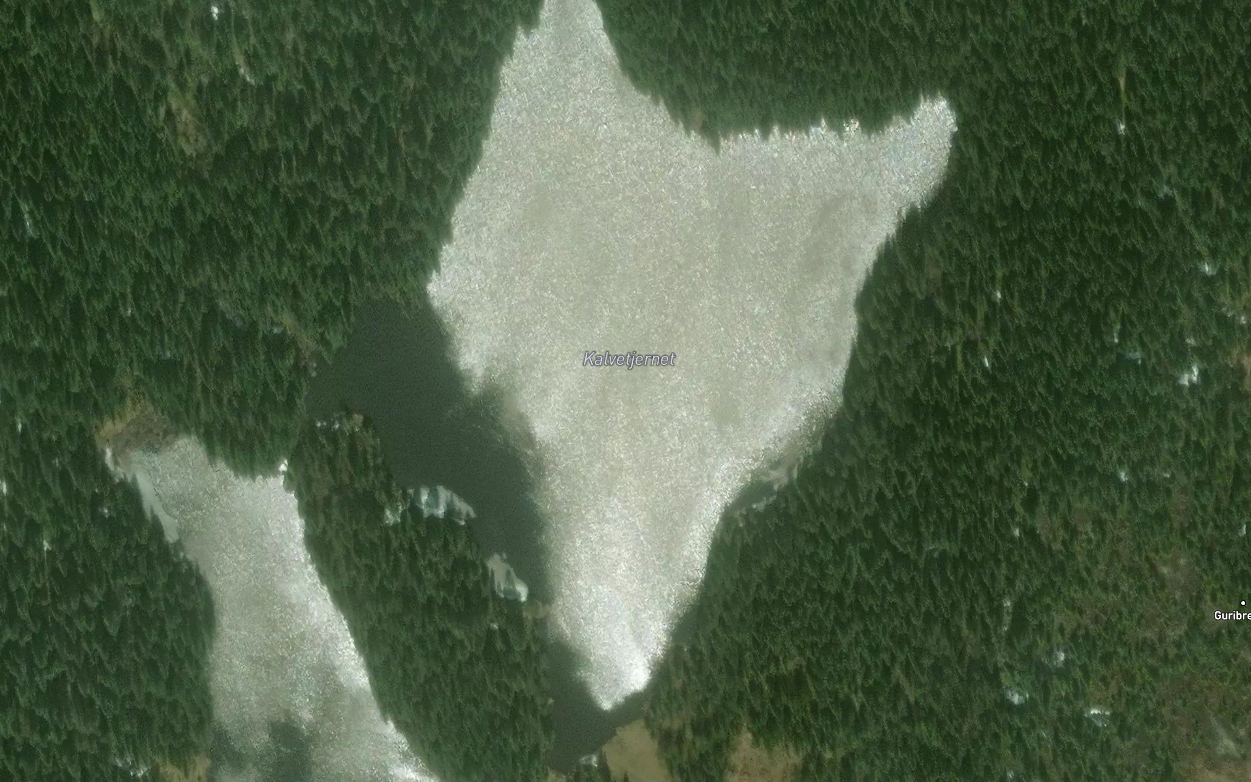 Kalvetjernet