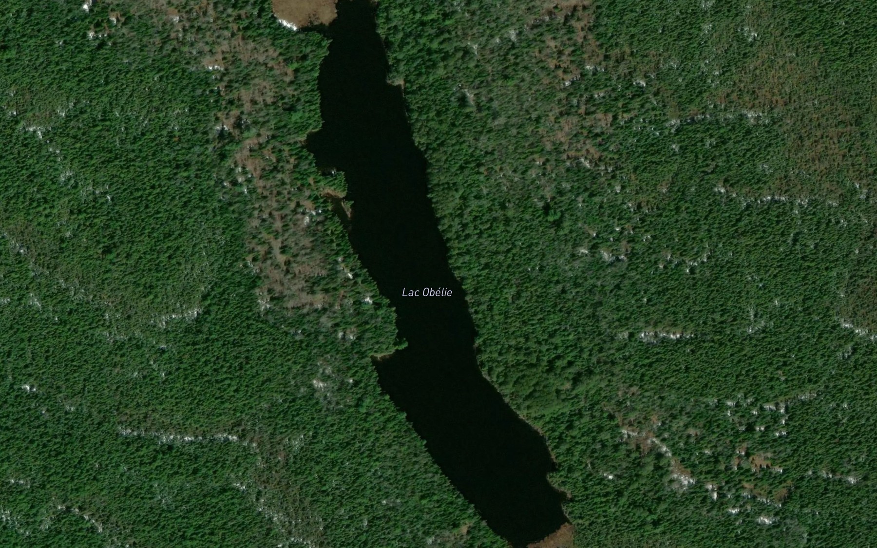 Satellite map of the Lac Obelie