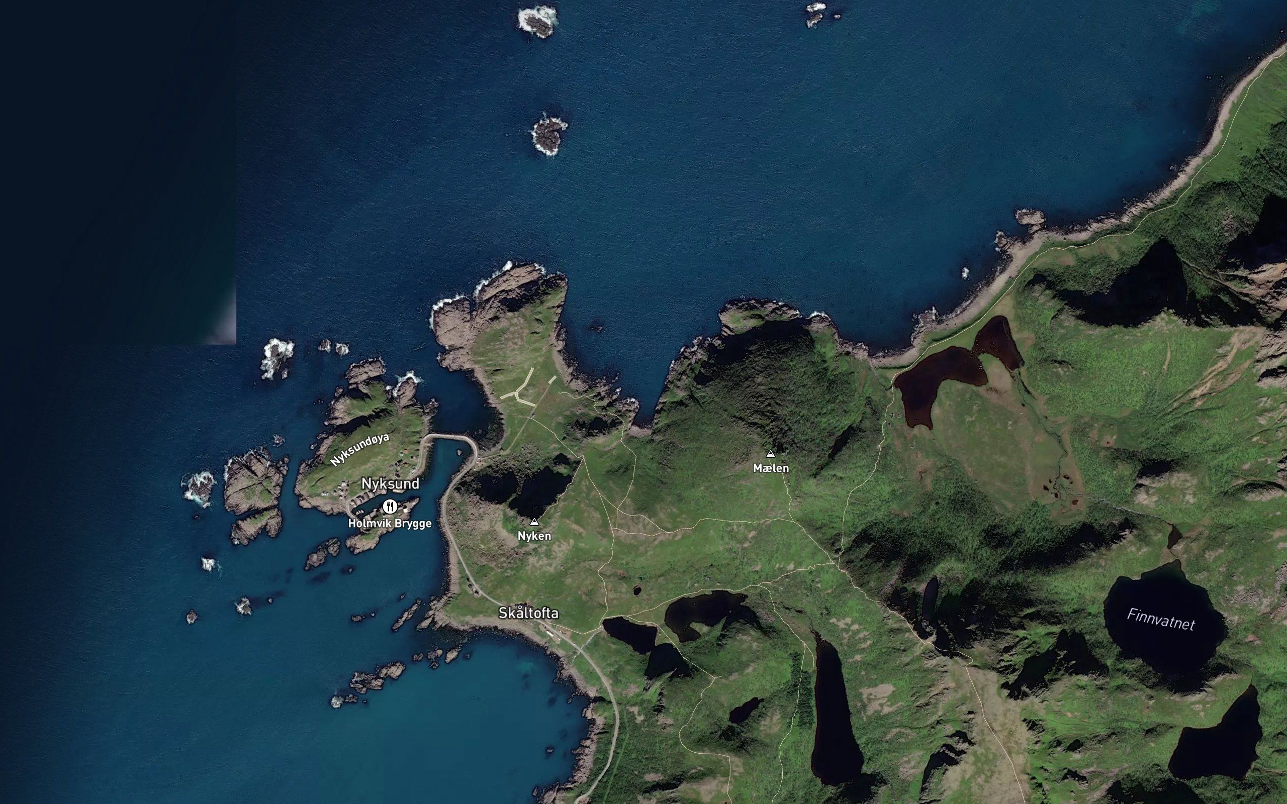 Trollvika