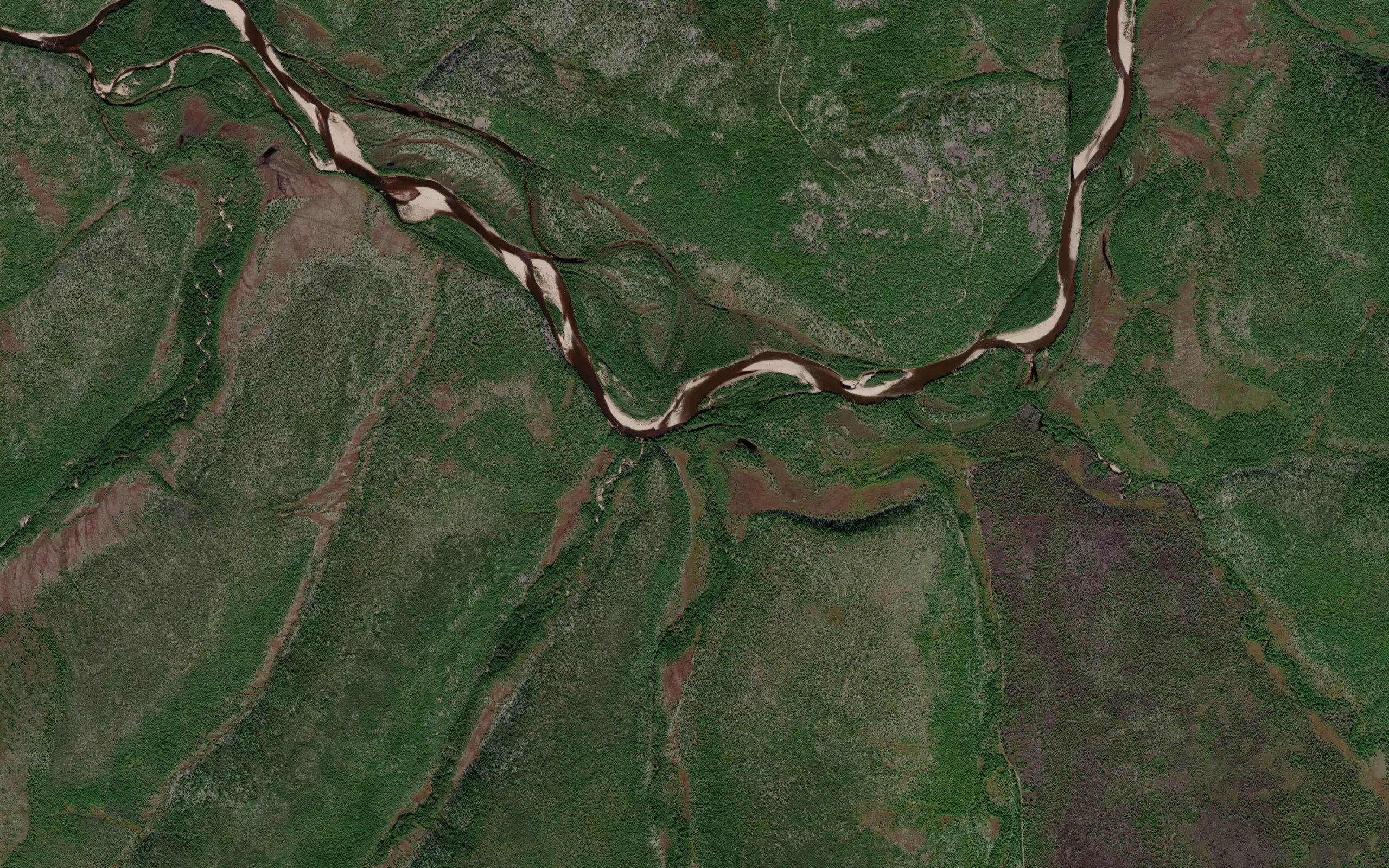 Snezhnyy