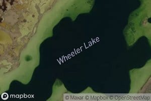 Wheeler Lake