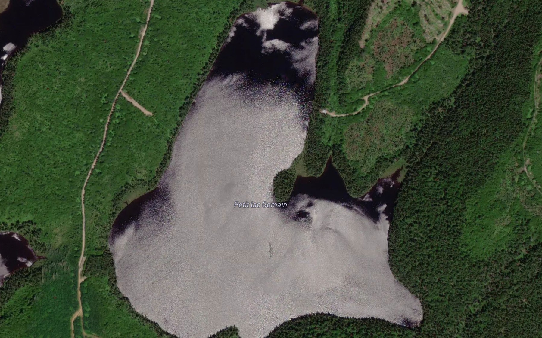 Satellite map of the Petit lac Gomain