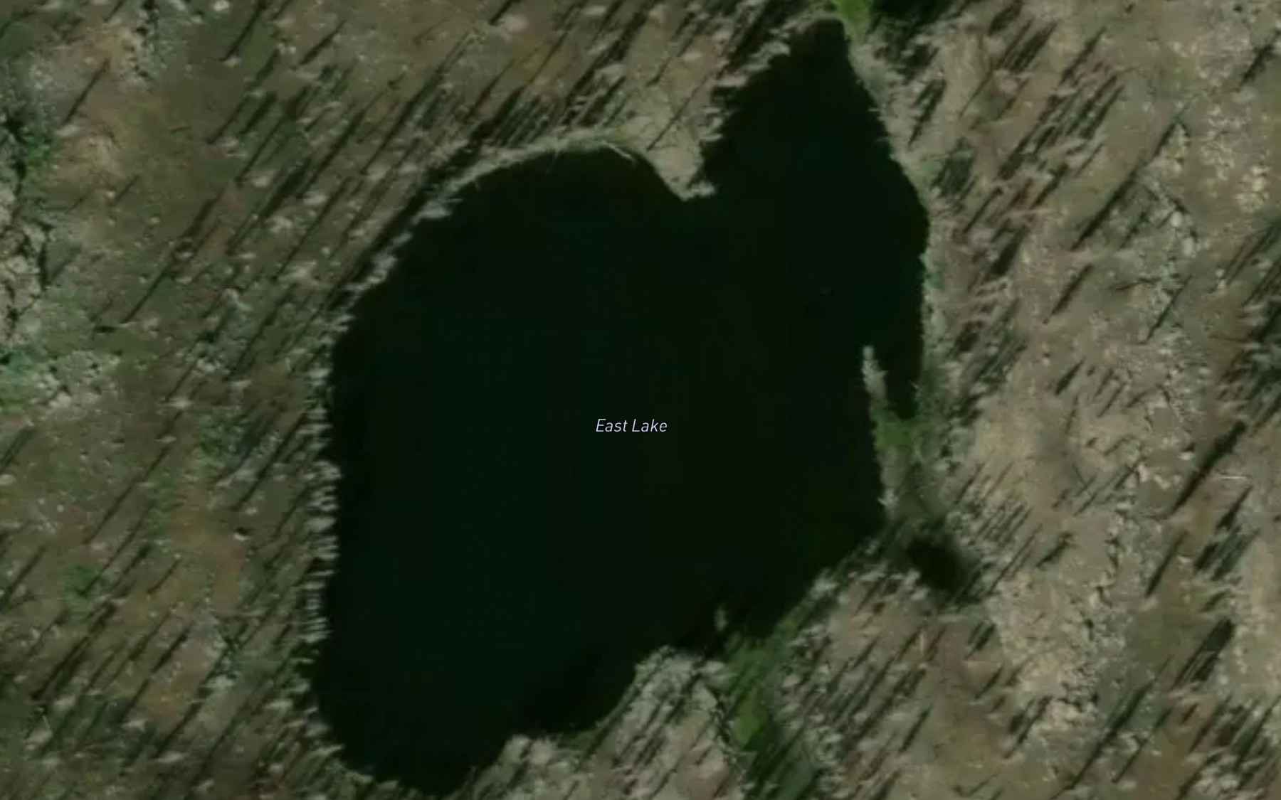 Satellite map of the East Lake